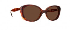 1012 10 SUN TORTOISE / BROWN - 10 SUN