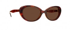 1012 20 SUN TORTOISE / BROWN - 20 SUN